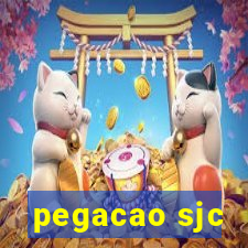 pegacao sjc